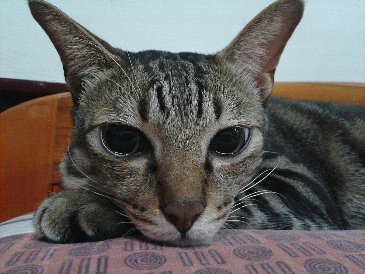 20250602-pswui_