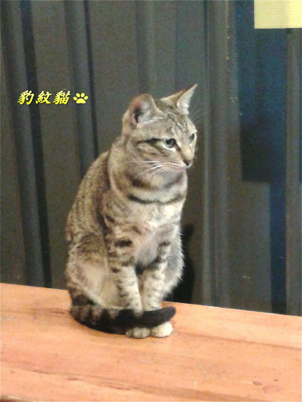 20250601-6u7ig_