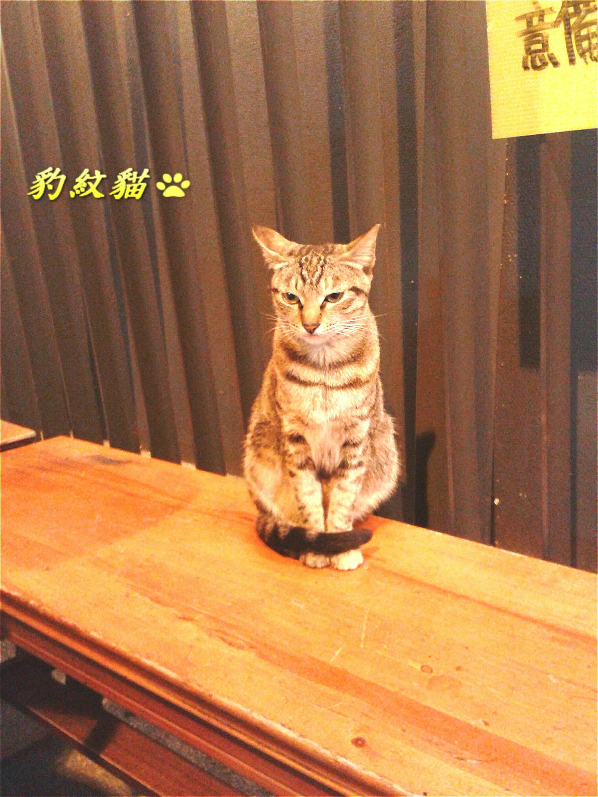 20250602-1w0nt_