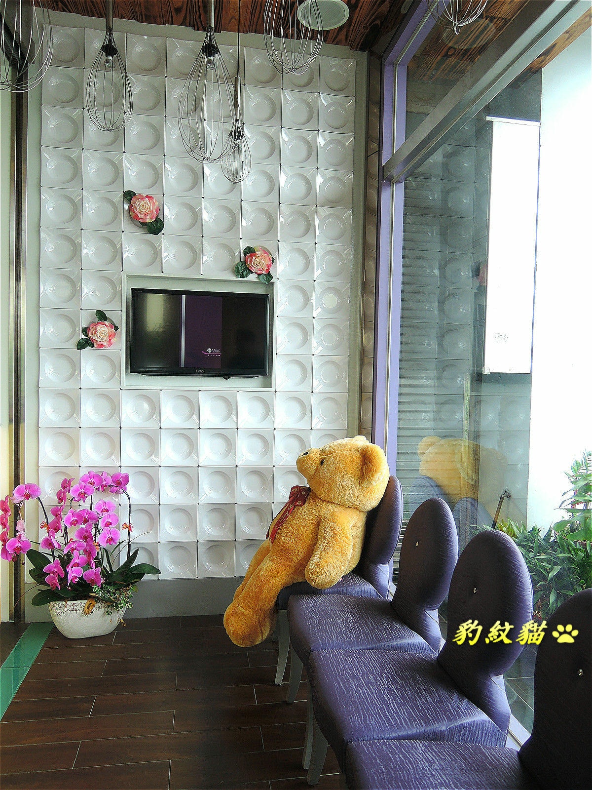 20250601-5jcip_
