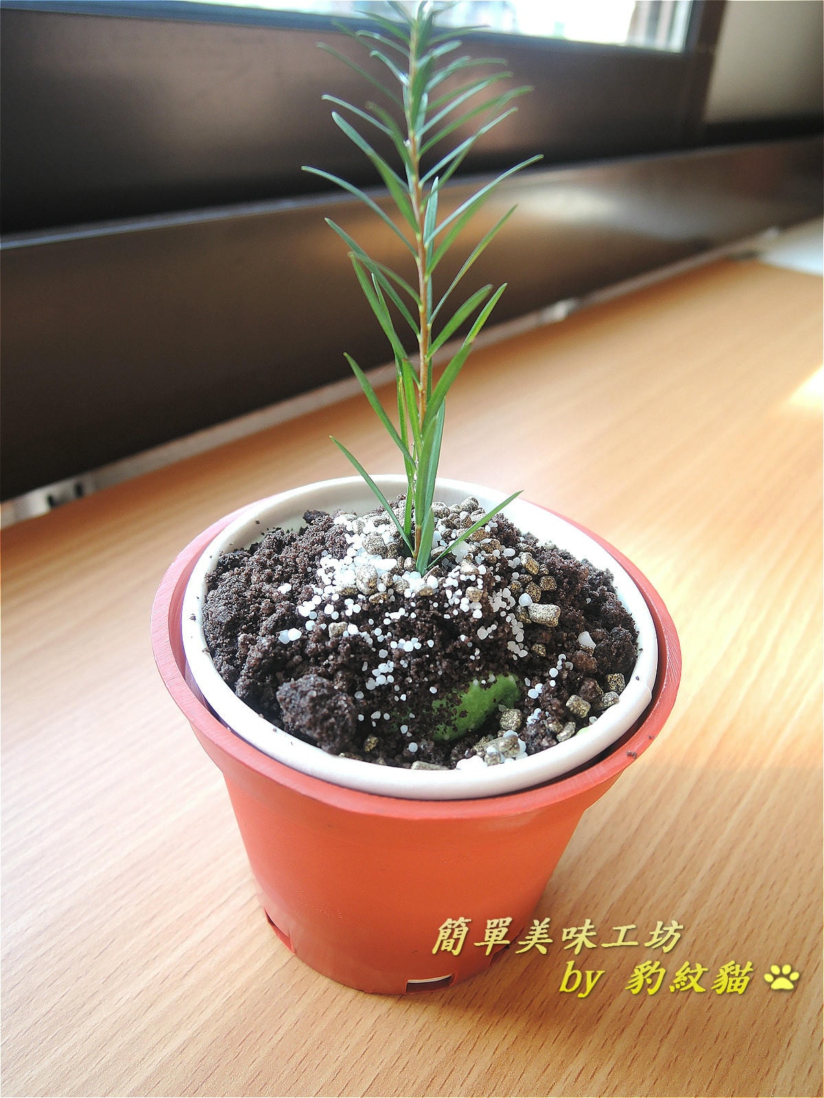 20250602-hq8jb_
