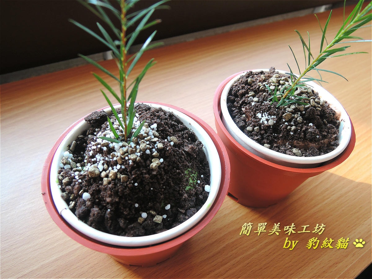 20250602-wwk3g_