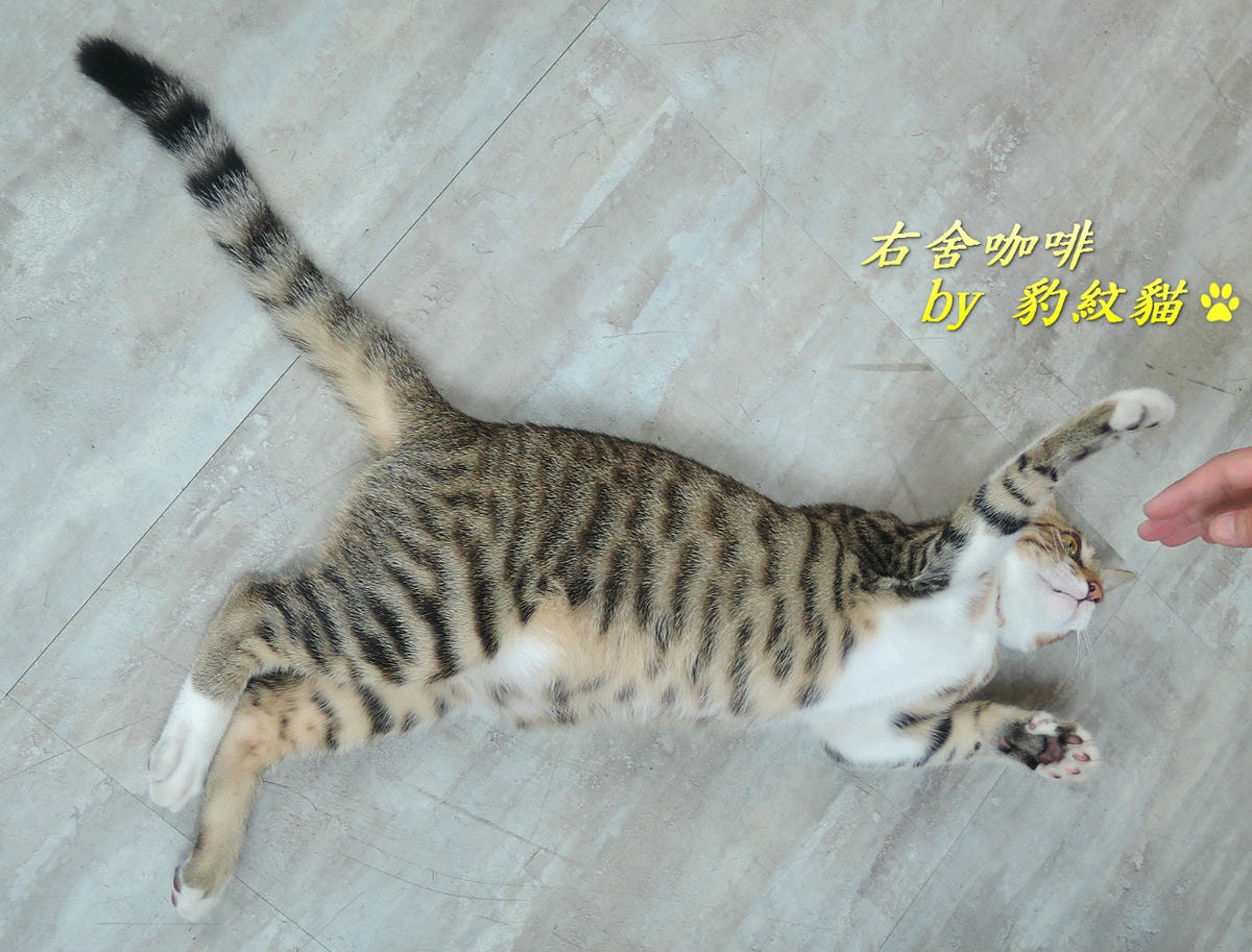 20250601-iy2ow_