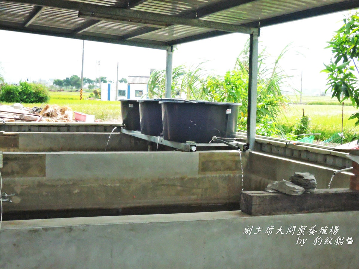 20250602-8itlu_