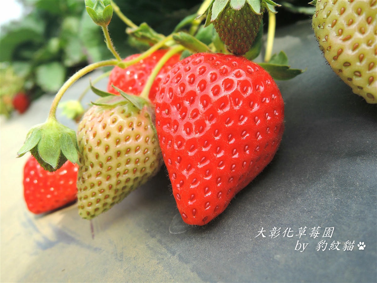 20250601-begpw_