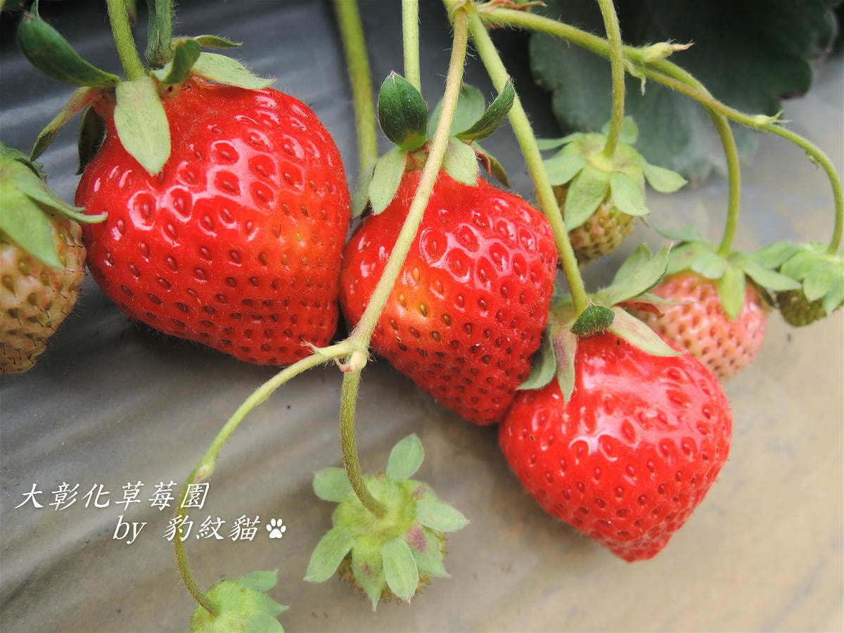 20250602-ayky5_