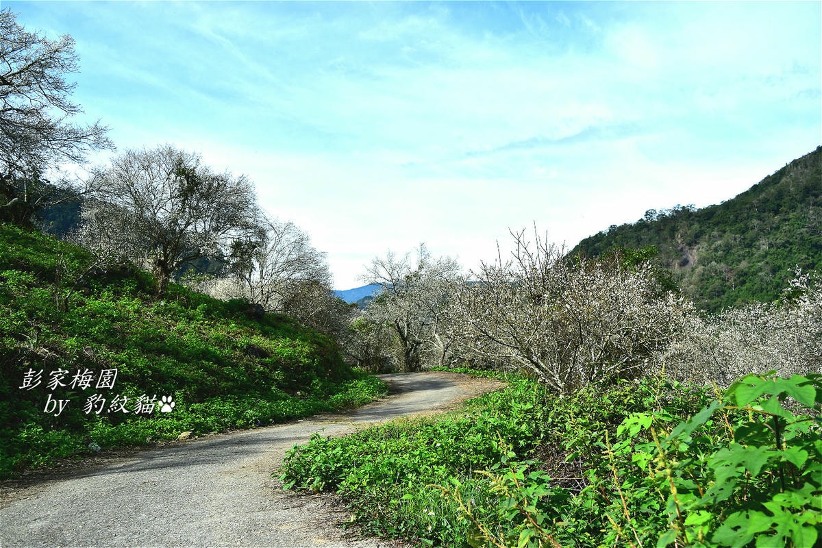 20250601-1wt9i_