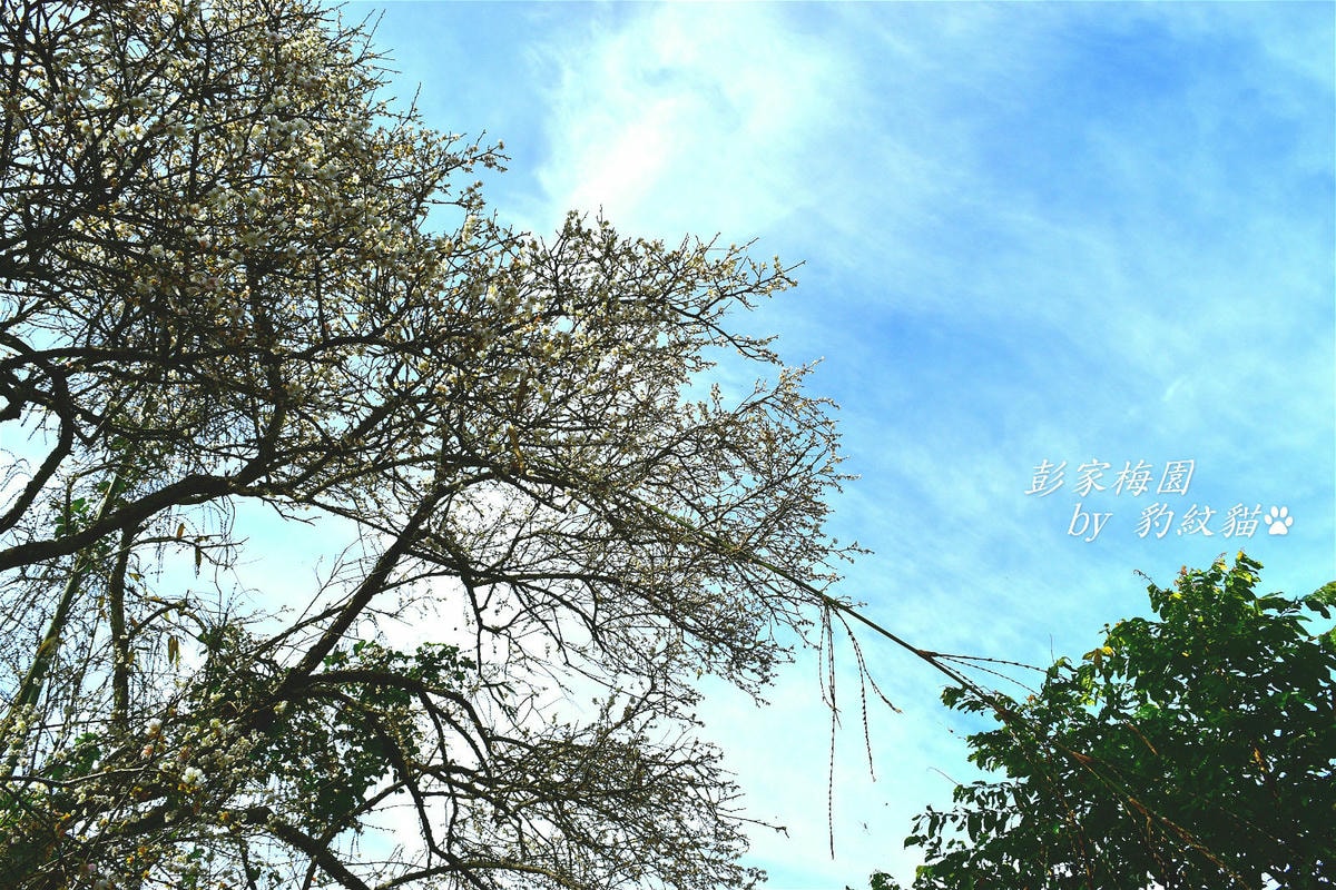 20250601-x6tm5_