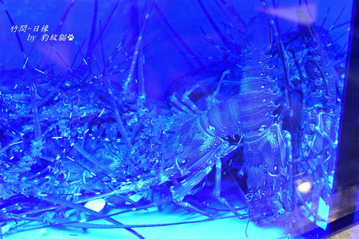 20250602-piy0v_