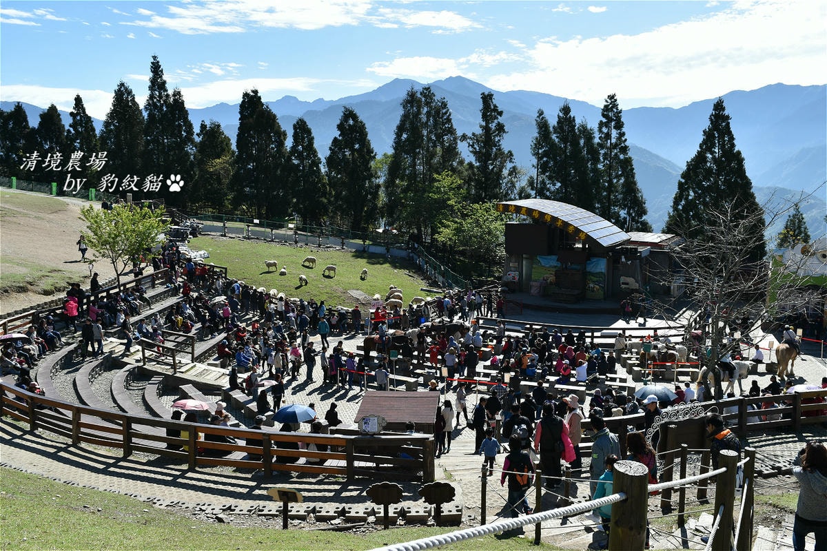 20250602-bcsfq_