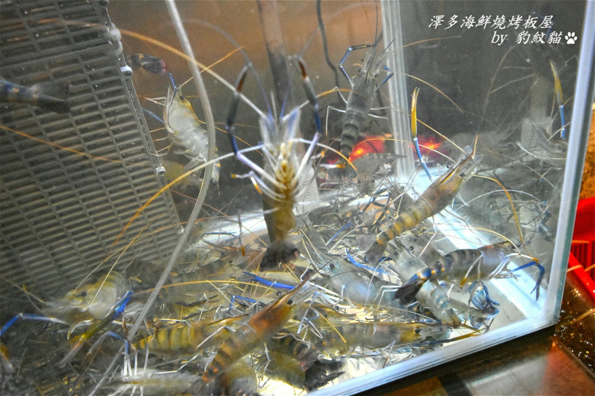 20250602-x4vsy_