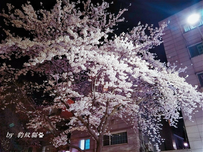 20250602-xpnrr_
