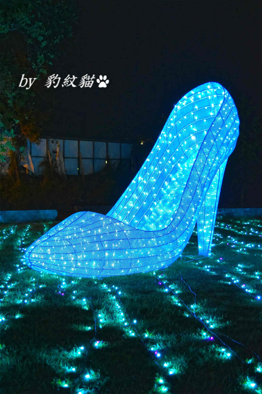 20250602-9idpo_ 20250602-9idpo_