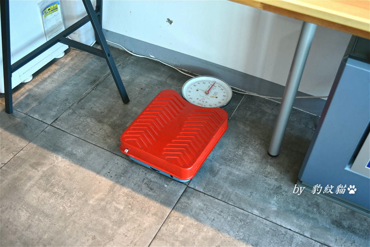20250602-wokij_