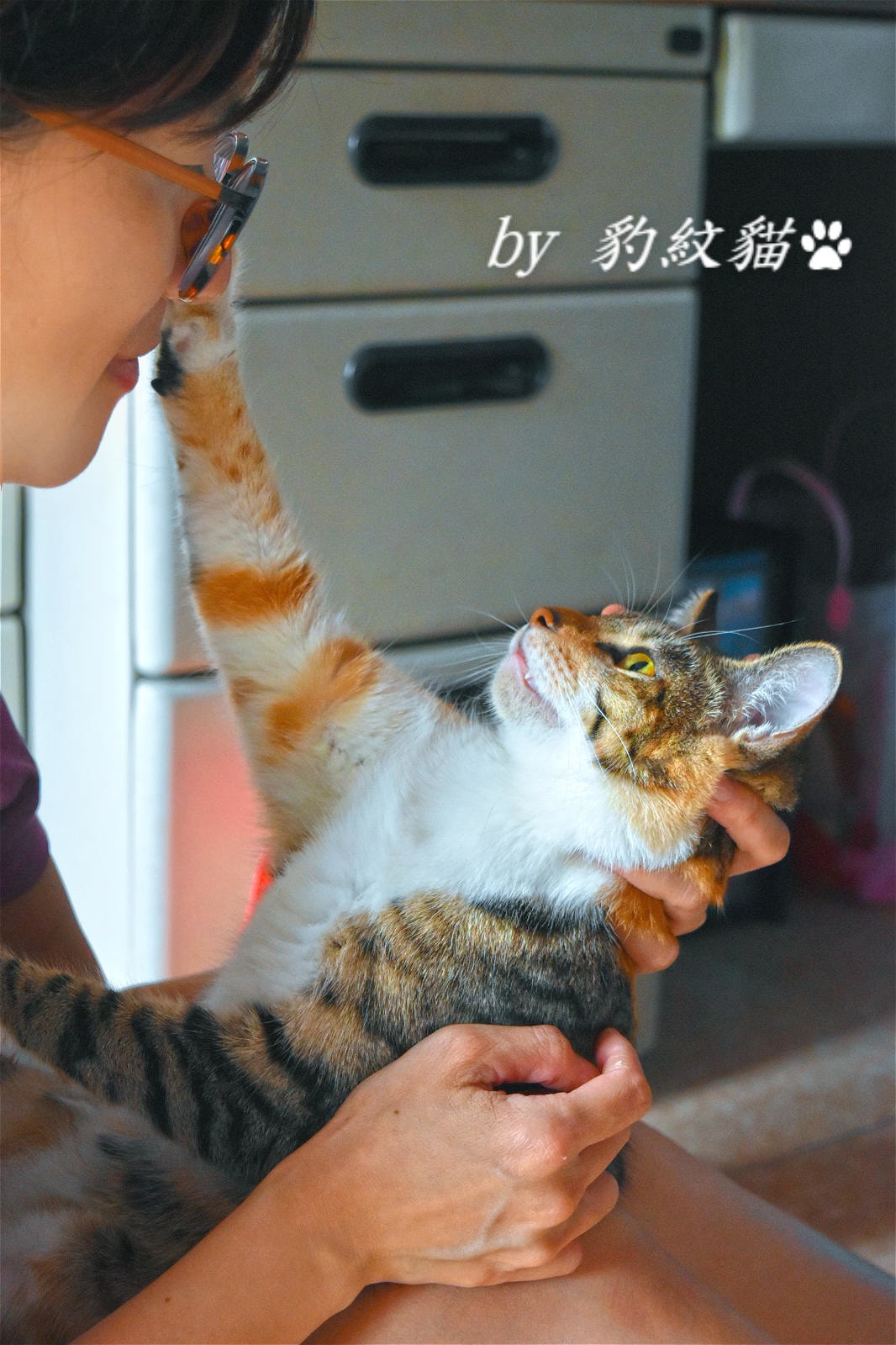 20250602-g8iy3_