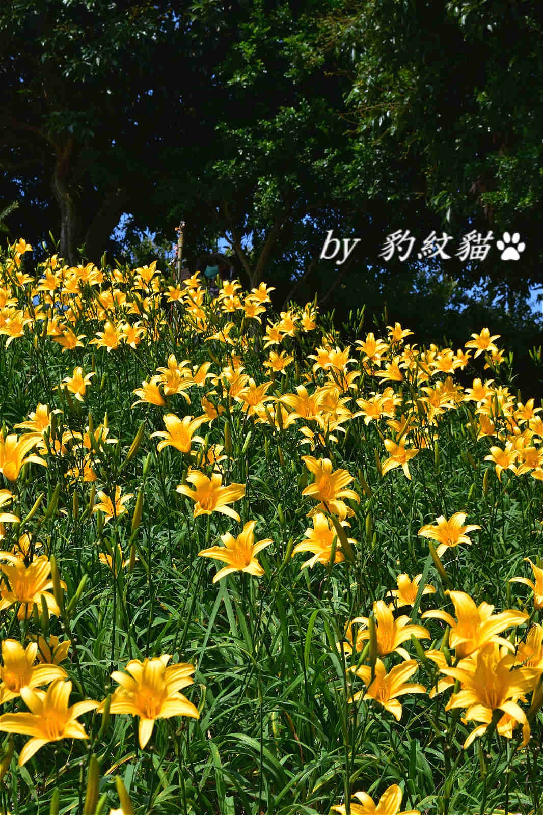 20250602-2xsc6_