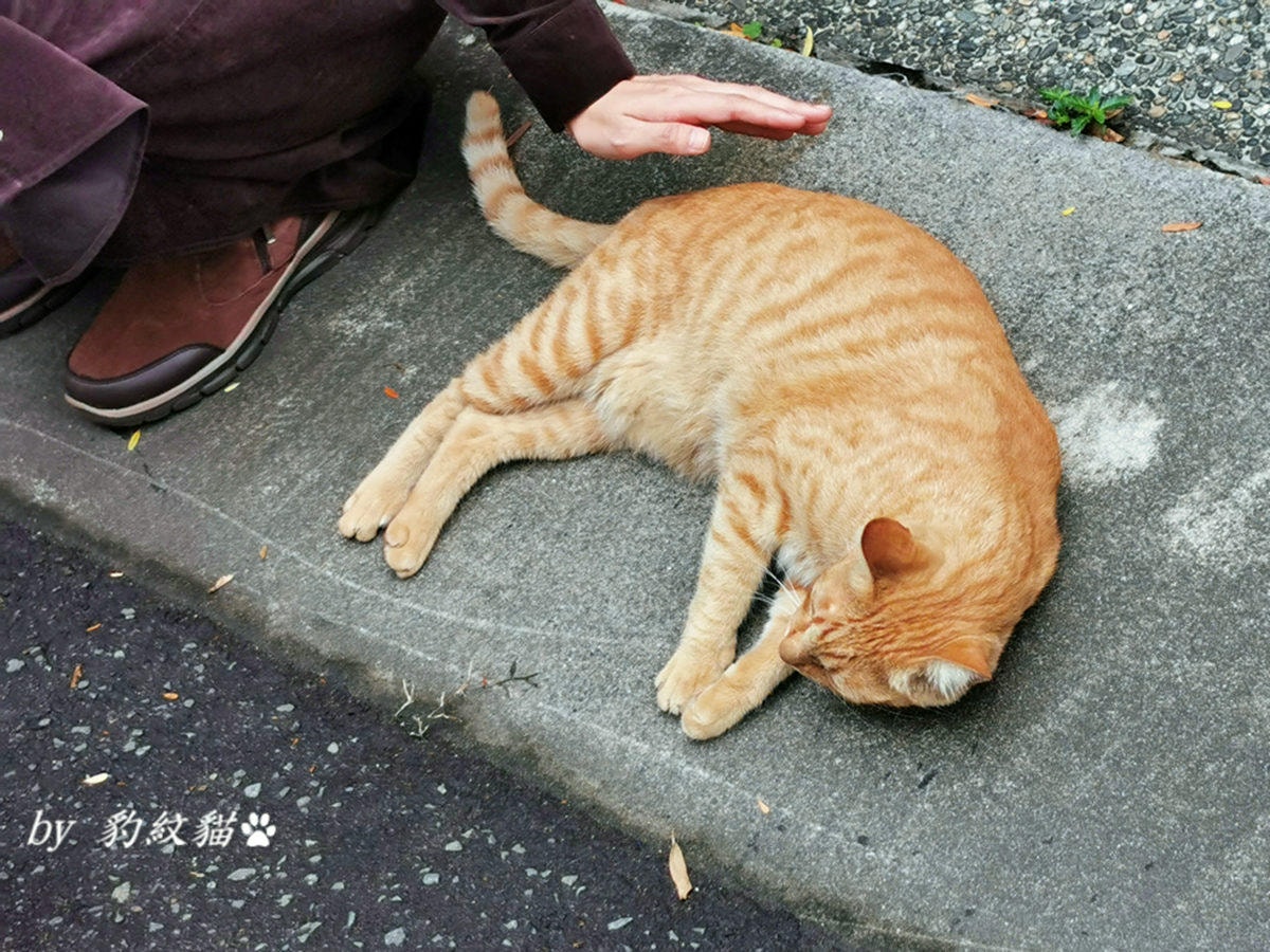 20250602-bktfl_