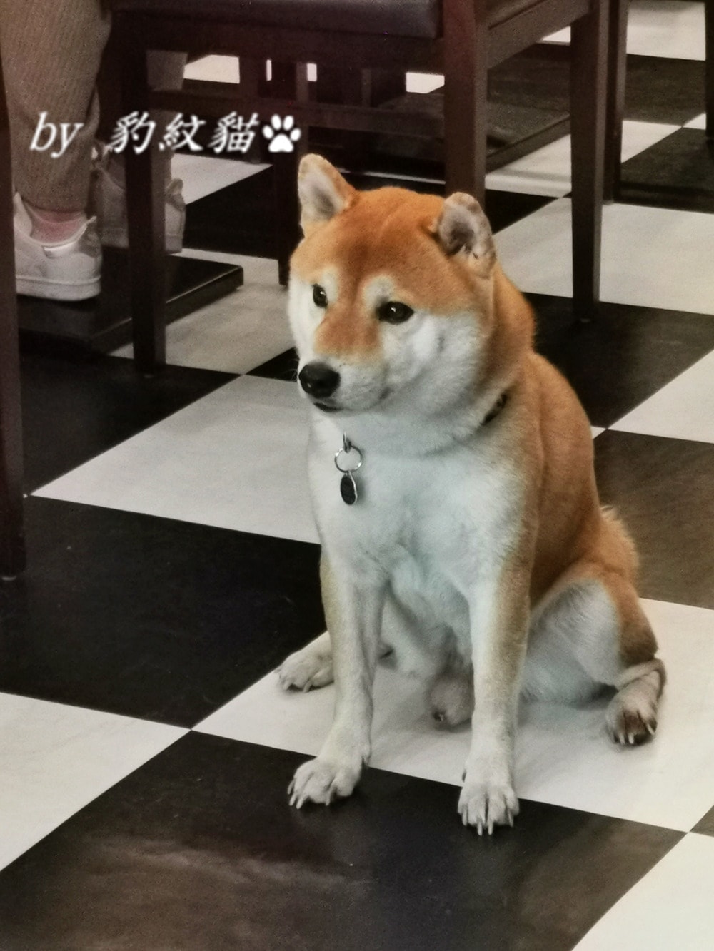 20250602-v2zgr_