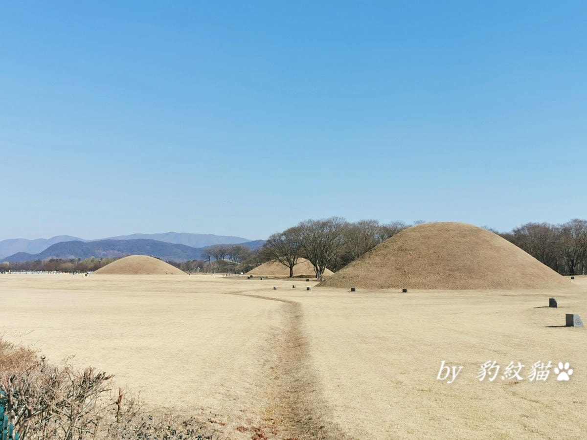 20250602-7fed6_