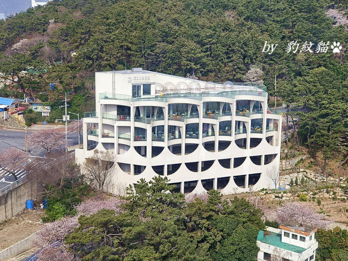 20250602-0s1zp_