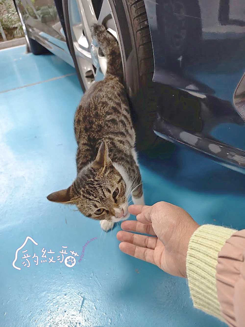 GEMSTAY젬스테이 近釜山西面站公寓飯店,微波爐、電磁爐、洗衣機都可用,自助式入住,吃喝玩樂交通超便利! - 第42張圖