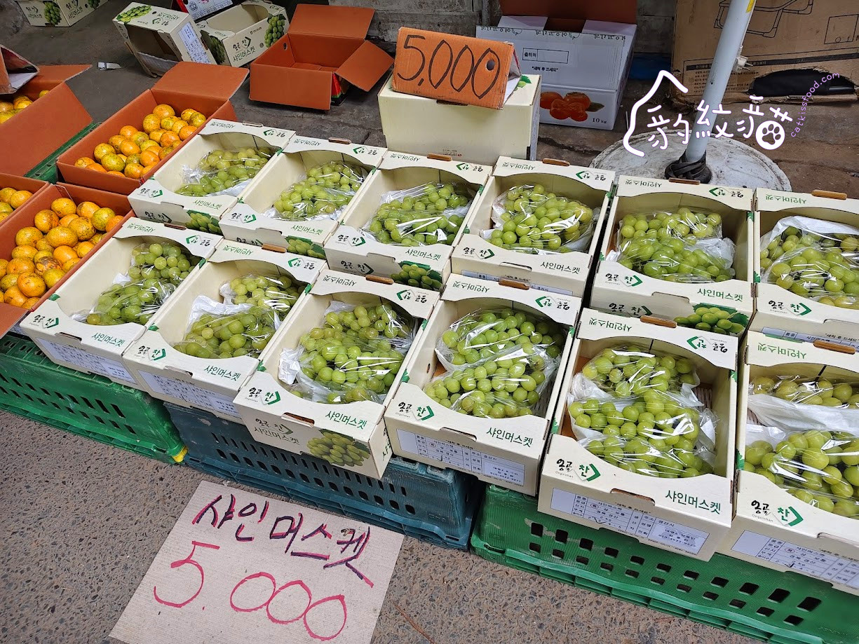 GEMSTAY젬스테이 近釜山西面站公寓飯店,微波爐、電磁爐、洗衣機都可用,自助式入住,吃喝玩樂交通超便利! - 第33張圖