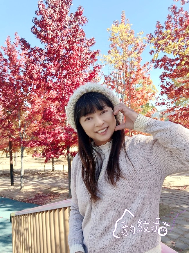 다리원 대왕붕어빵大王鯛魚燒 釜田市場排隊點心，口味超多的美食暖暖包