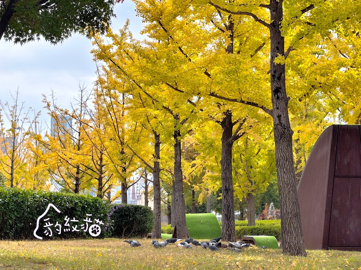 다리원 대왕붕어빵大王鯛魚燒 釜田市場排隊點心，口味超多的美食暖暖包