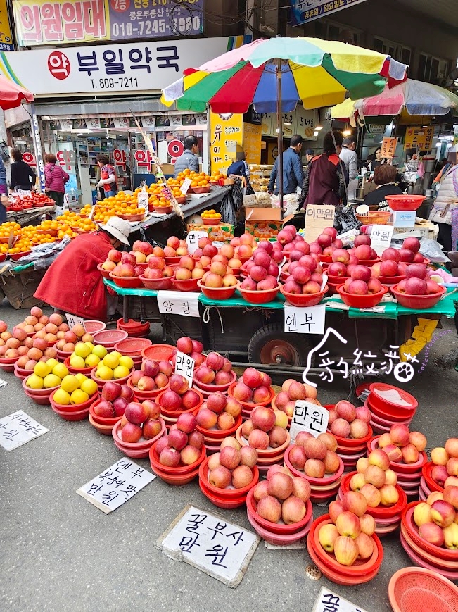지성감족輕鬆滿足豬腳 釜田市場必買,一人也能輕鬆享受的超好吃豬腳,要提早排隊搶 - 第3張圖 지성감족輕鬆滿足豬腳 釜田市場必買,一人也能輕鬆享受的超好吃豬腳,要提早排隊搶