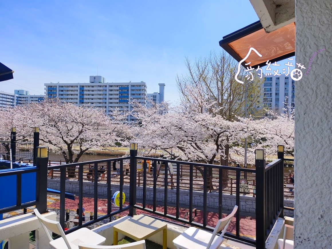 Lessai르쎄 到白色小屋喝咖啡賞櫻,溫泉川美櫻舞春光 - 第3張圖 Lessai르쎄 到白色小屋喝咖啡賞櫻,溫泉川美櫻舞春光