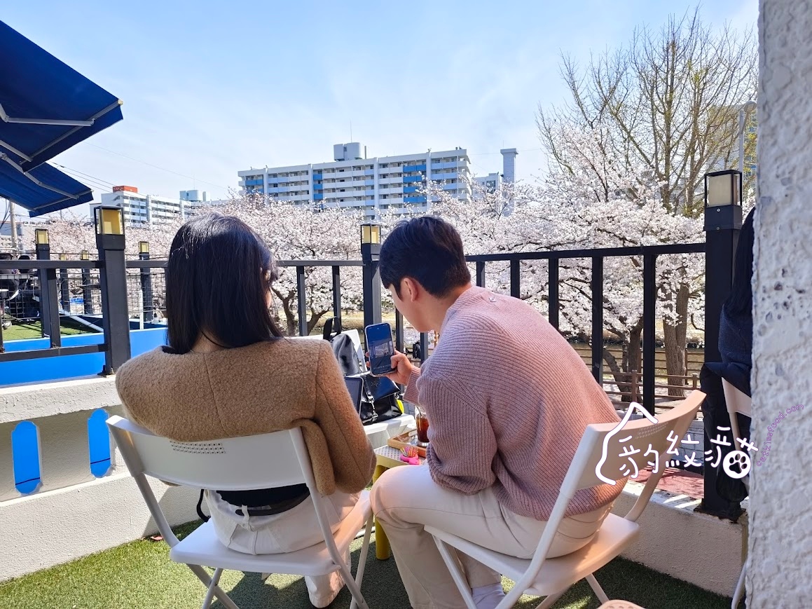 Lessai르쎄 到白色小屋喝咖啡賞櫻，溫泉川美櫻舞春光