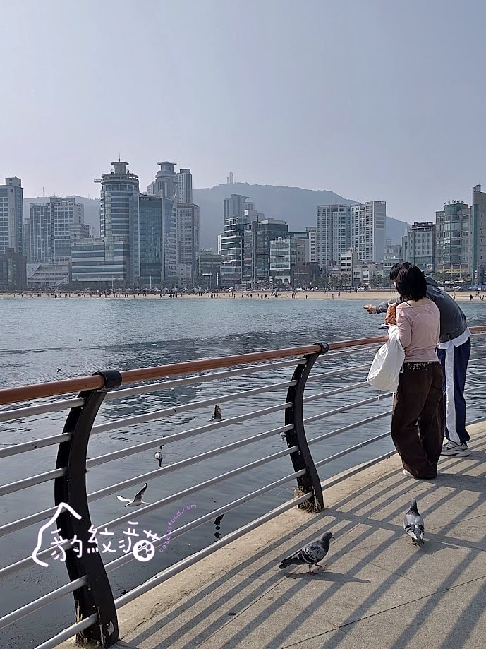 프랭크커핀바frank coffin bar 微醺酒吧風的海景咖啡店，彷彿走進復古電影場景