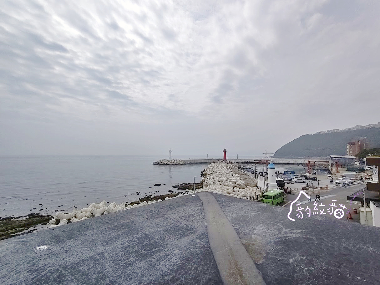 BRONI브로니 與咖啡、巴斯克蛋糕華麗共舞，青沙浦慵懶療癒系的藍海之約